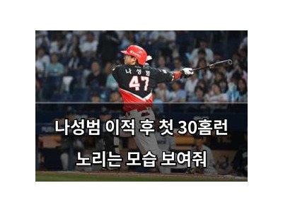 나성범 이적 후 첫 30홈런 노리는 모습 보여줘