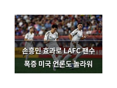 손흥민 효과로 LAFC 팬수 폭증 미국 언론도 놀라워