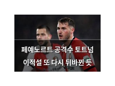 페예노르트 공격수 토트넘 이적설 또 다시 뒤바뀐 듯
