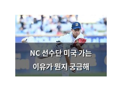 NC 선수단 미국 가는 이유가 뭔지 궁금해