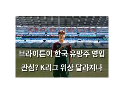 브라이튼이 한국 유망주 영입 관심? K리그 위상 달라지나