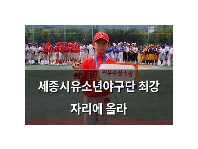세종시유소년야구단 최강 자리에 올라