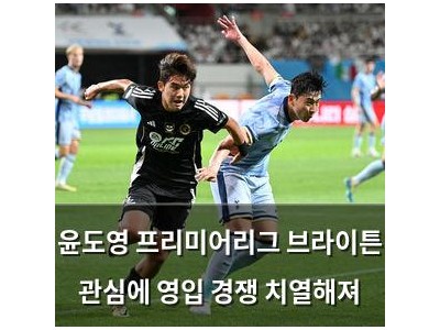 윤도영 프리미어리그 브라이튼 관심에 영입 경쟁 치열해져