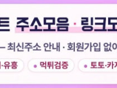 티비위키갤에서 확인하는 접속 문제와 해결 순서